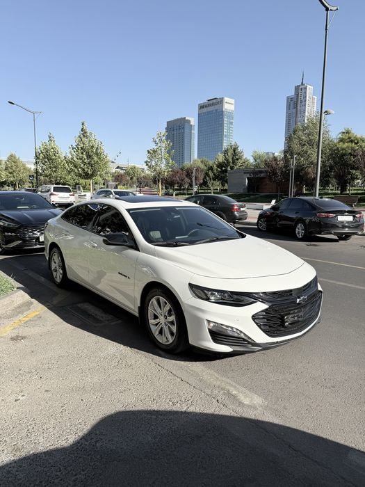 Malibu XL 2023 Tozza