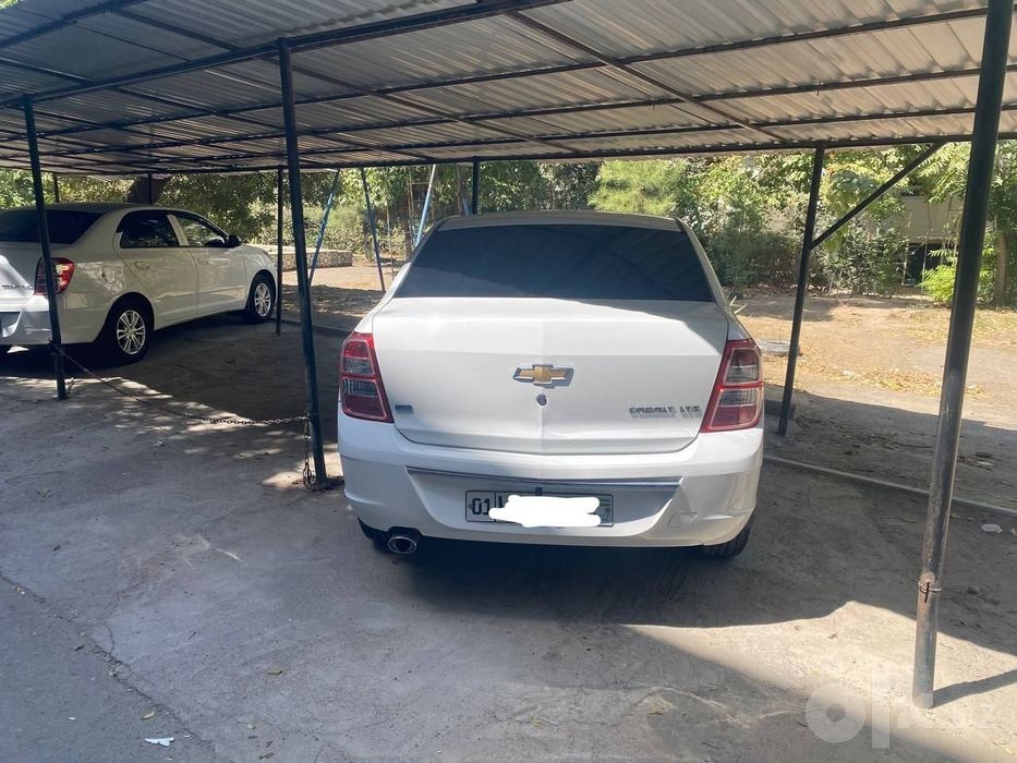 Cobalt 2023 arendaga beriladi.  2500 boshiga