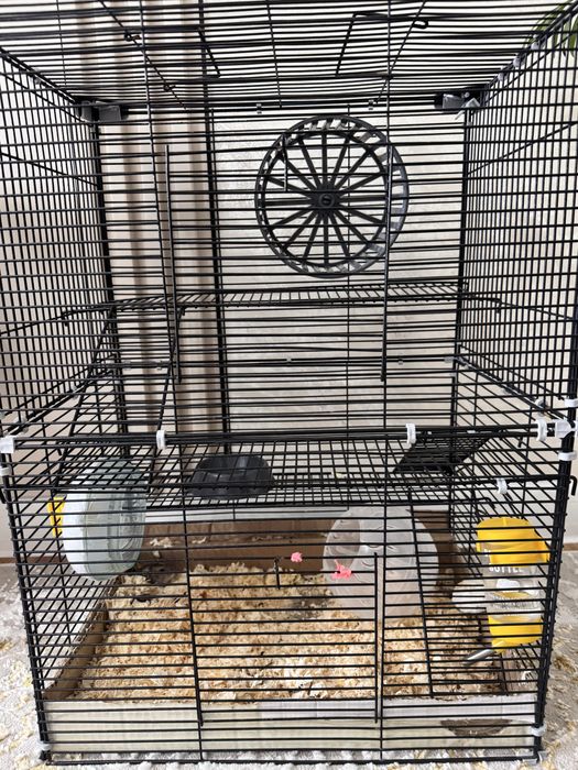 Хомяки,  клетка для хомяков