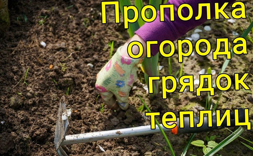 Прополка ,огорода,теплицы,и т д.