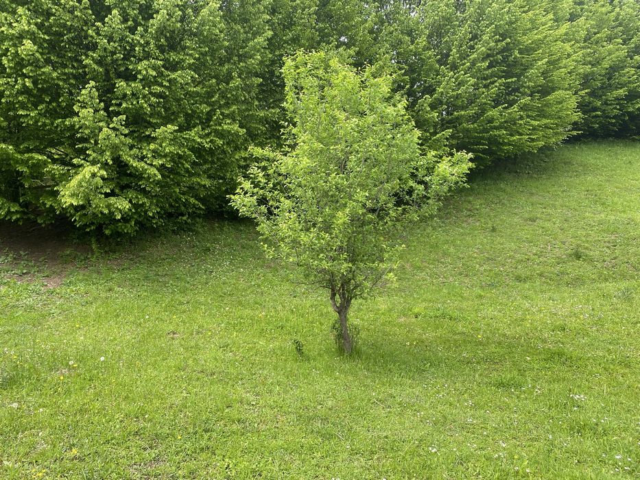 Teren de vanzare Valea Doftanei