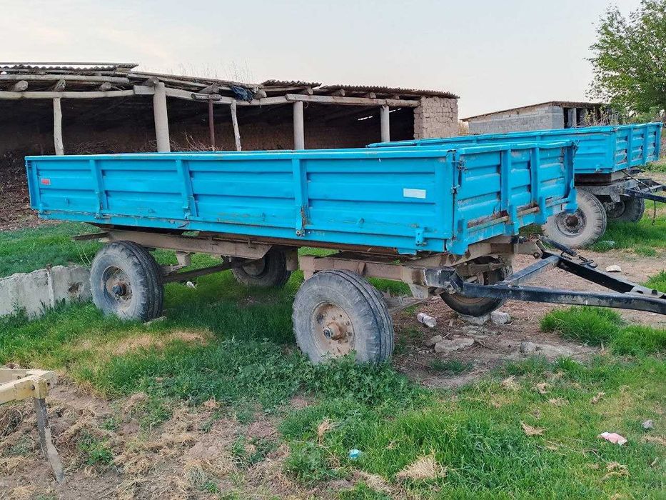 Трактор МТЗ 81.1