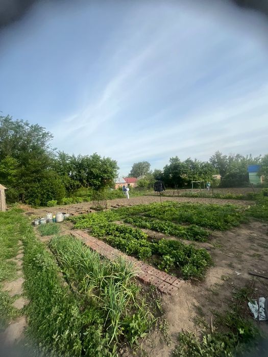 Продам  дом  с.Меновное