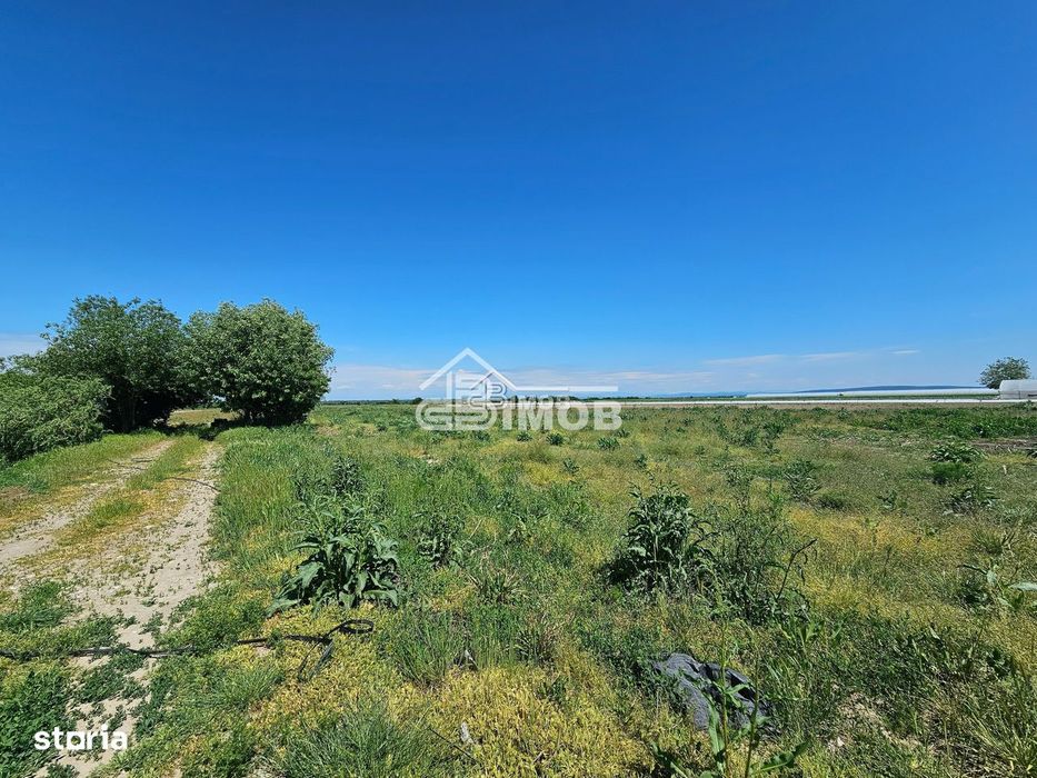 Ideal pentru investitie
