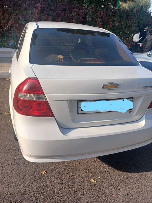 Nexia-3 arendaga beriladi