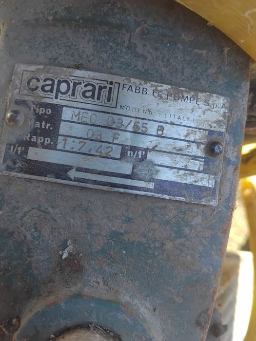 Grup de udat caprari