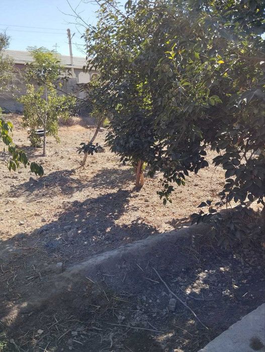 Ер Участкаси сотилади, Тезкорликда