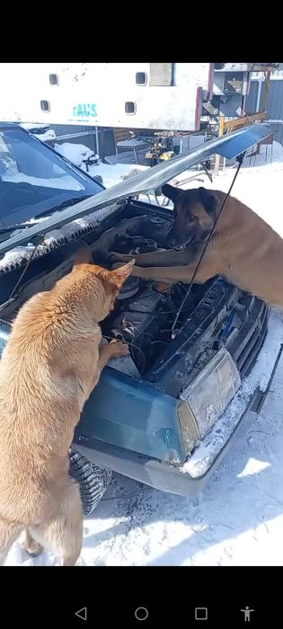 Отогрев авто автомобиля