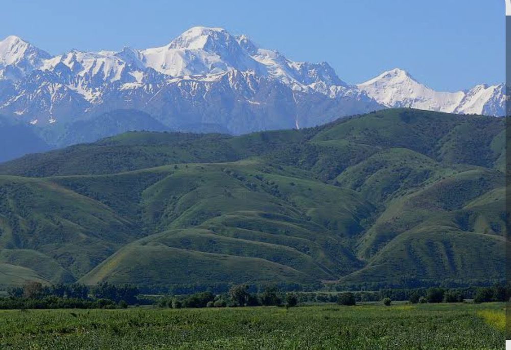 Жер сатылады Алатау ауылы Төлеби ауданы
