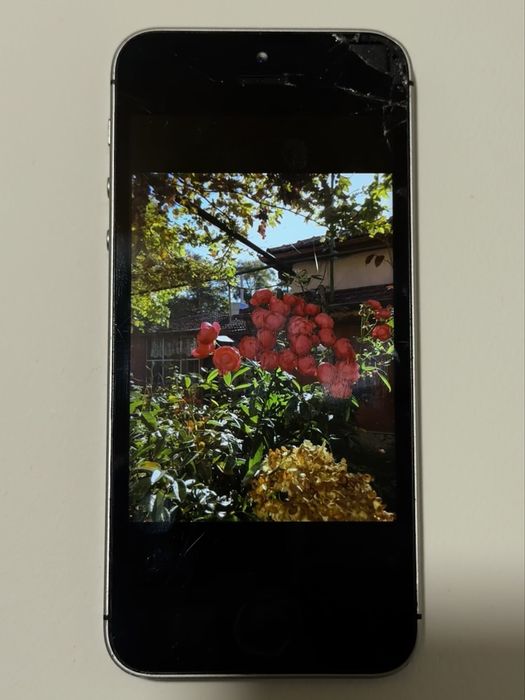 iPhone SE 1st gen (2016), 32GB, 100% батерия