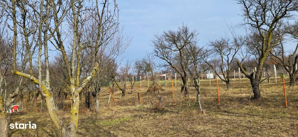 Teren Intravilan 43Ari zona Ortelec-Zalau intre case 4800eur/ar