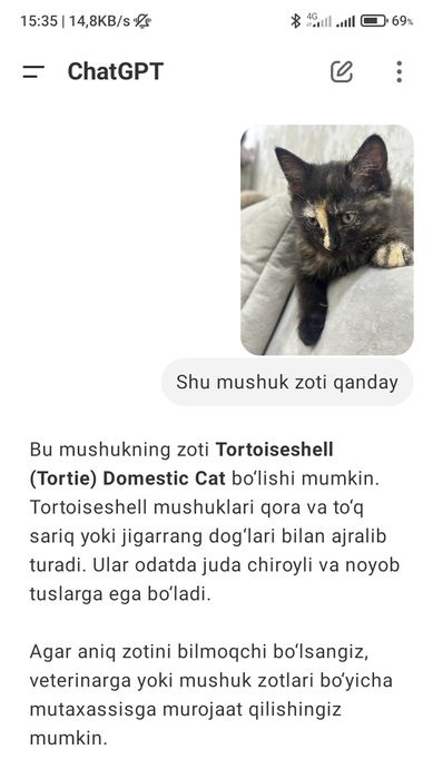 Chiroyli oq frantsuz manikyurasi fotosurati eng zamonaviy