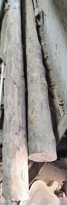 sotiladi kelishamiza