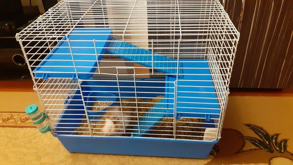 Клетка для питомца.