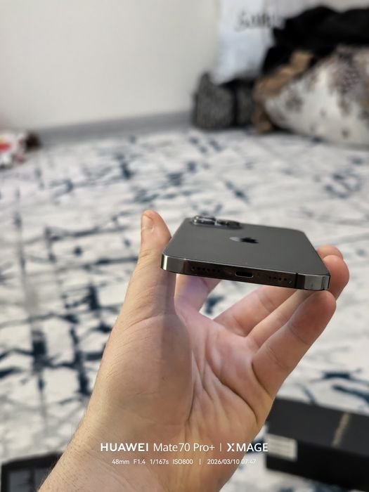 iPhone 12 pro max idial.