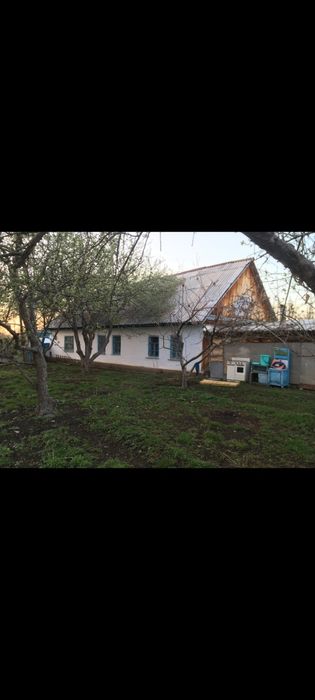 Продаётся дом, яблоневый сад, фазенда!!