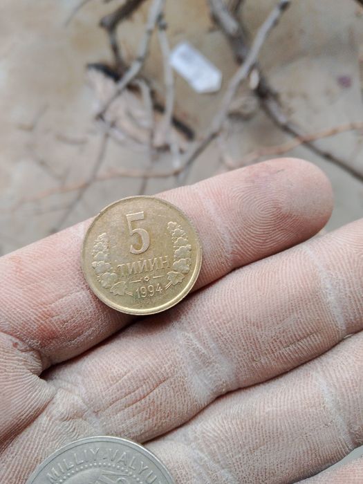 5tin tangalar sotiladi