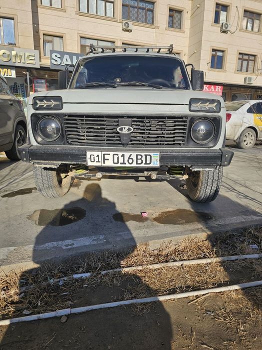 нива йили 1981 .