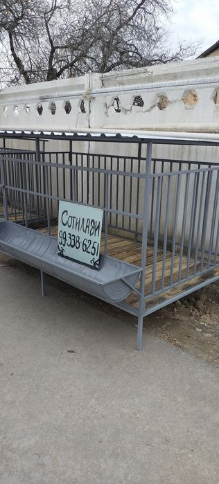 Katak Qòtan Quy Qòy