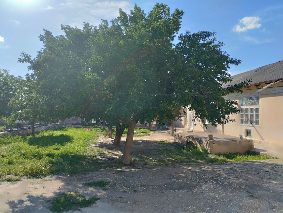 Hovli joy sotiladi 11 sotix