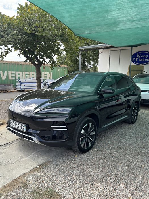 Byd Champion smart