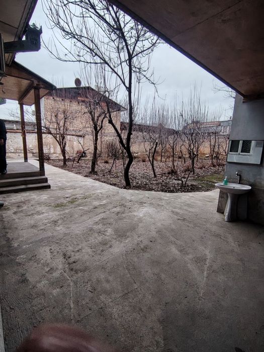 Олмазор тумани мевазор. Шланба