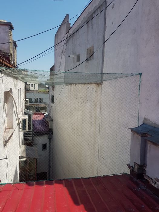 Montaj plasa tepi antipasari salvari animale alpinisti utilitari