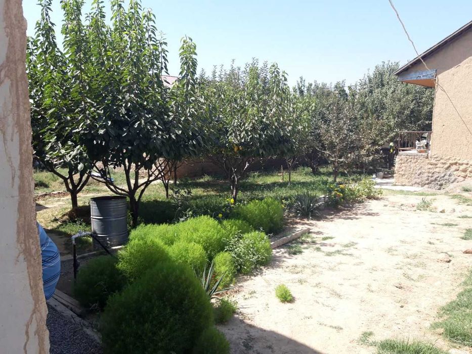 Parkent tumanida uy-joy sotiladi