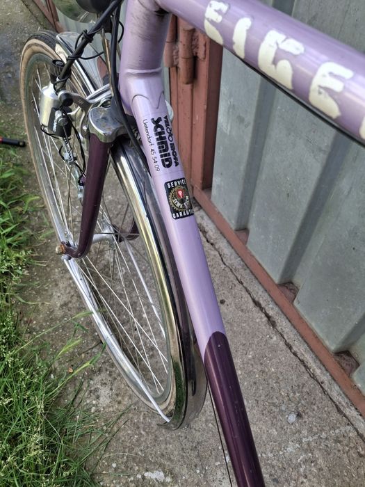 Bicicletă Eiger Elveția