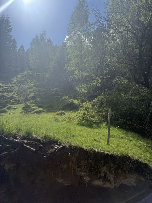 Teren intravilan de cabană la munte