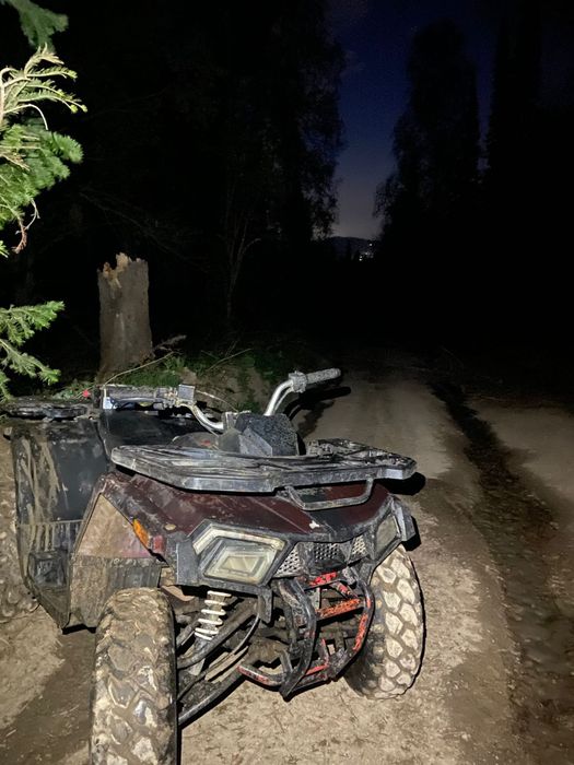 Квадрик 250 кубов