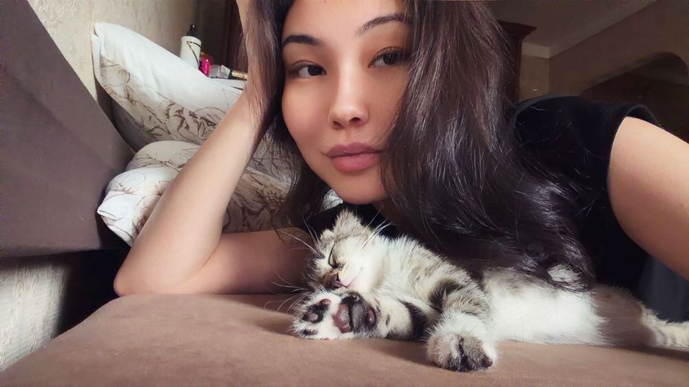 Вислоухий котенок