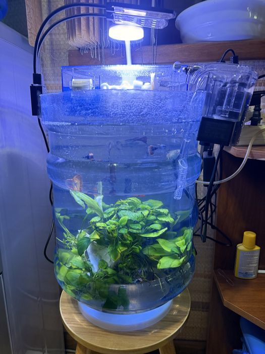 Продается уникальный аквариум , легко чистить