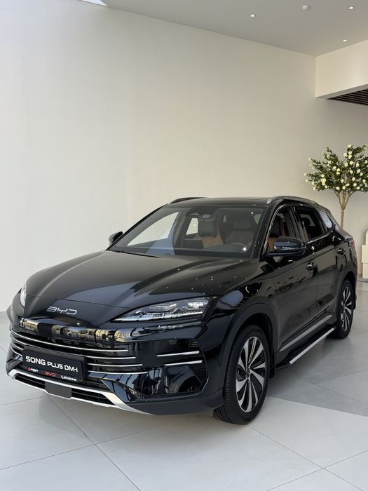 Champion Hybrid 1 позиция