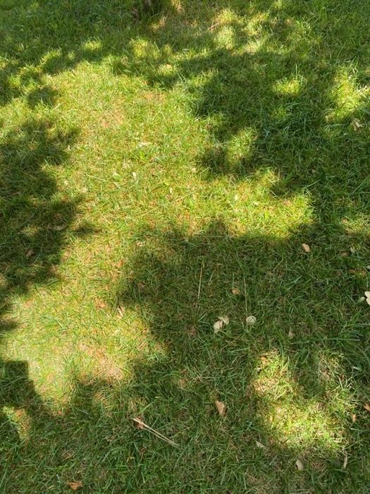 пейзаж, недорогой