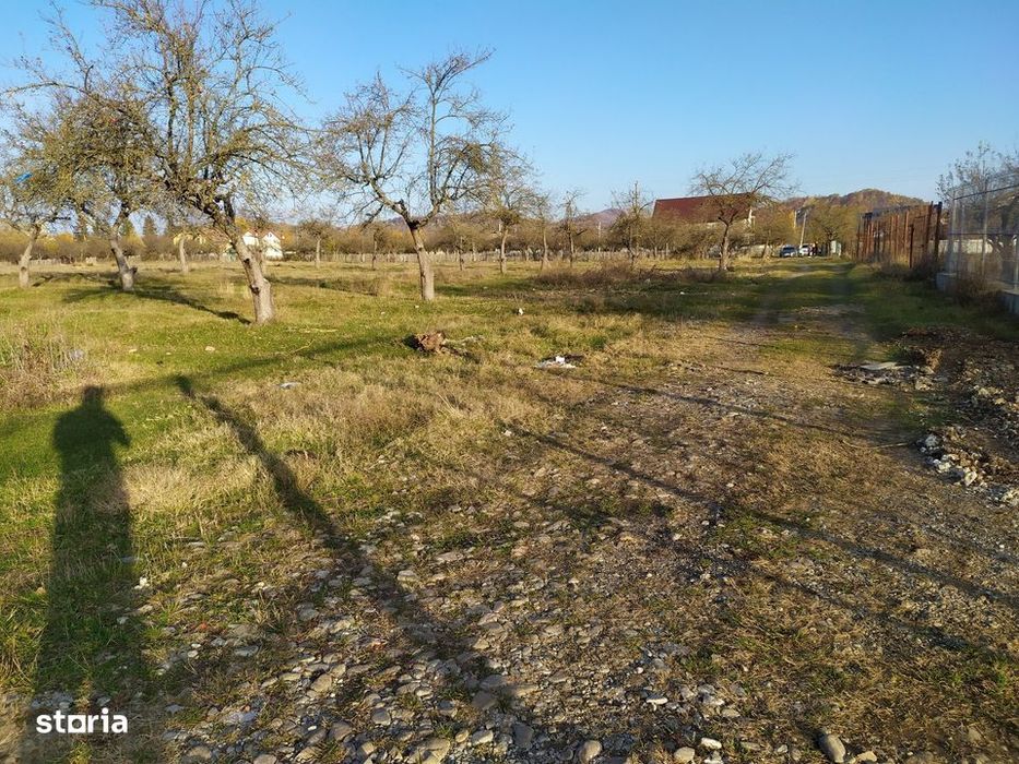 Proprietar Teren intravilan DE VÂNZARE Campina-PH (negociabil)