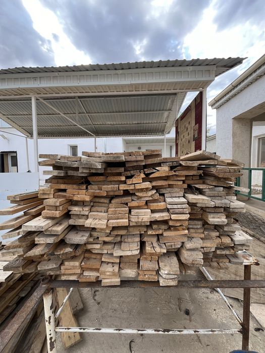 Поддон агашы