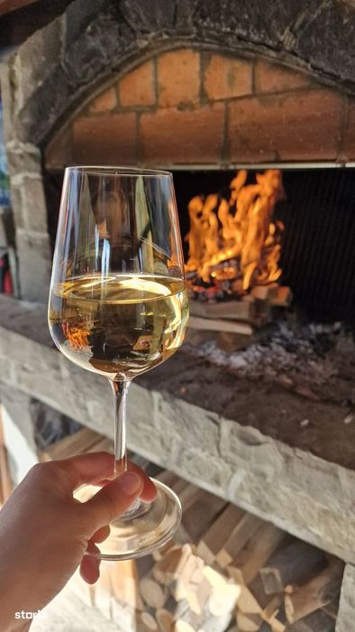 Proprietate versatilă, mobilată, utilată - 260 m² utili + 730 m² curte