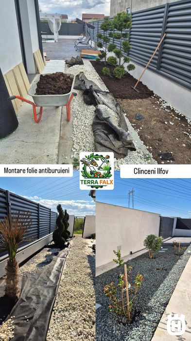 Curățare Teren și Curte, Defrișare, Tuns Iarbă/Gazon/Gard Viu, Toaletare Pomi, Tăiere Copaci, Erbicidare Amenajare Grădina Cosit Iarbă Grădinărit