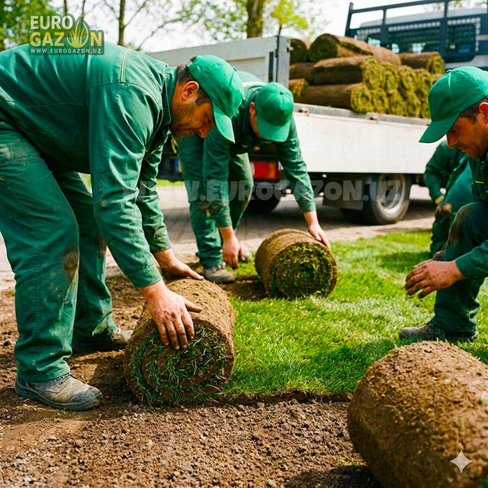 Gazon | Газон | установка рулонного газона