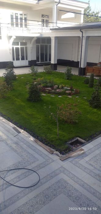 Gazon ruloniy yevro urugʻ