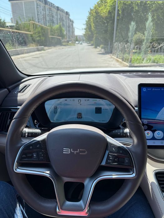 BYD Champion 2024 ev