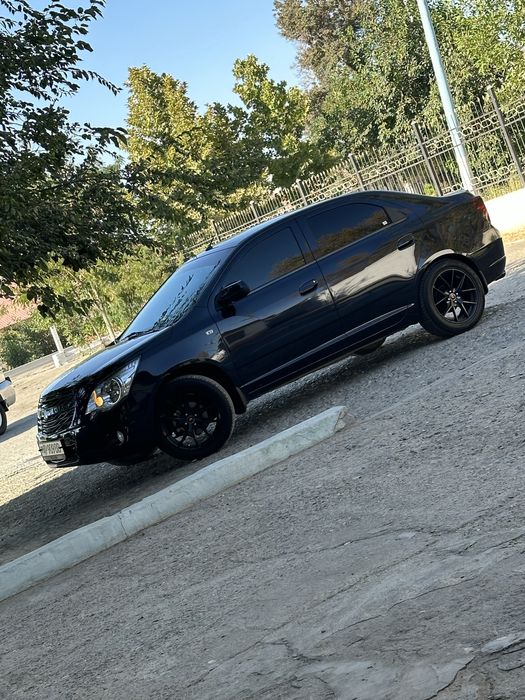 2024 ishlab chiqarilgan yangi navrot qilingan