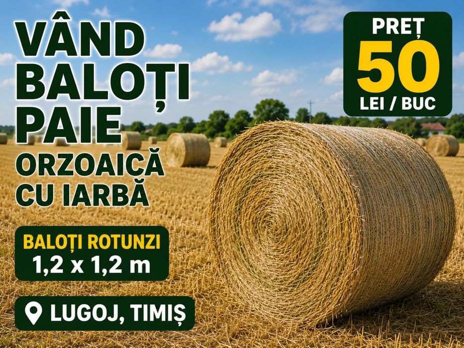 Vand baloti paie