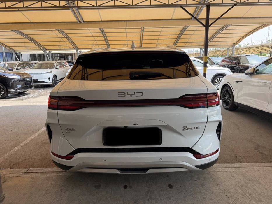 BYD Song Plus EV Champion 2024 — 3