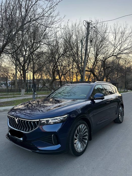 Voyah free full elektro