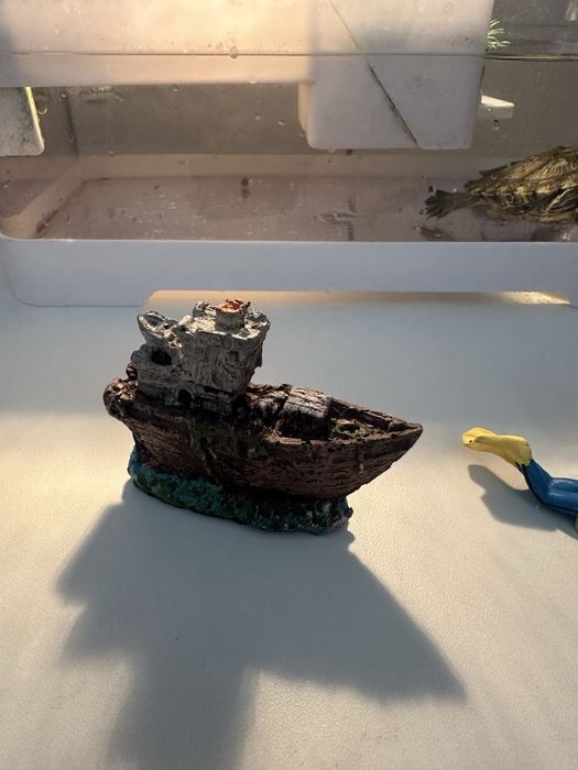 Красноухие черепашки