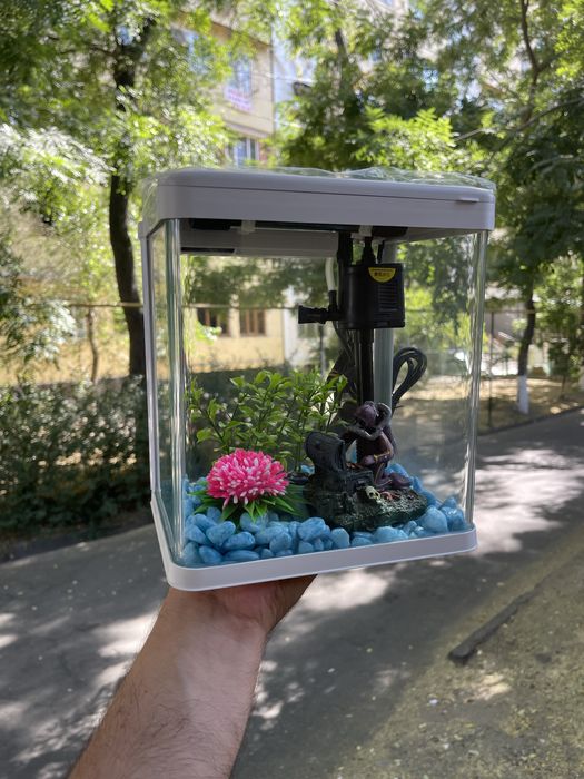 Akvarium Xitoy Mini