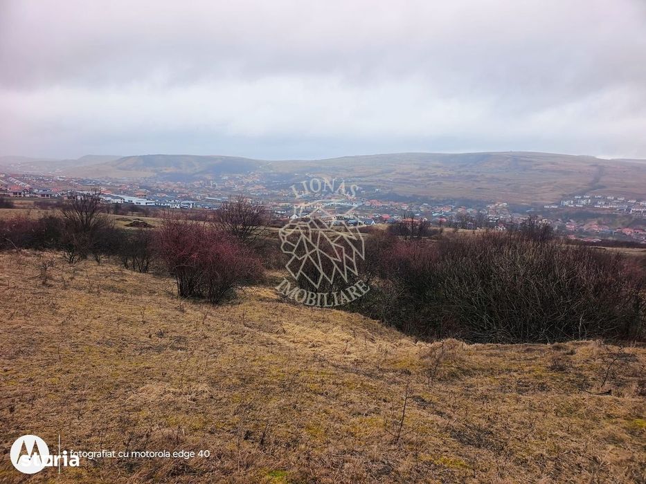 Teren de vânzare intravilan 8500 mp Chinteni Cluj oportunitate investi