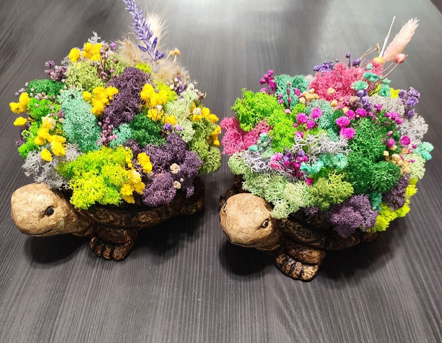 Различни видове кашпи със скандинавски мъх